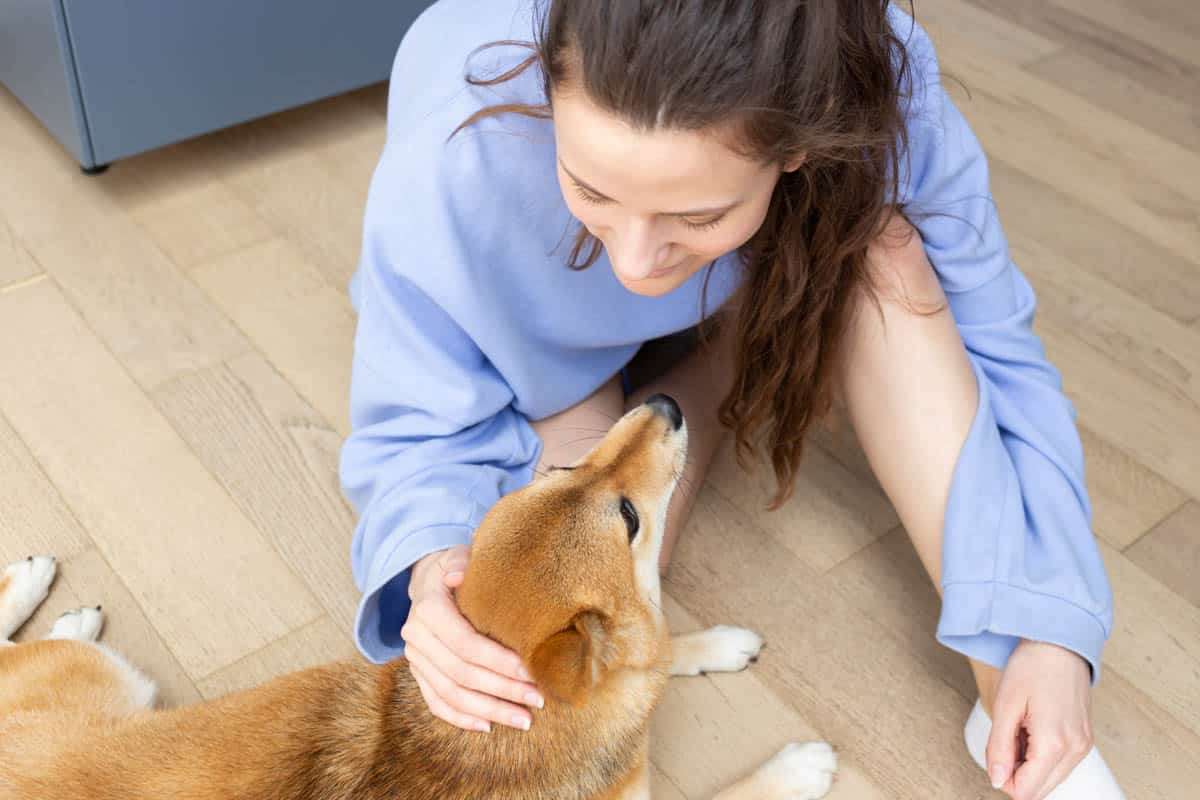 Pet Grief Treatment Therapy